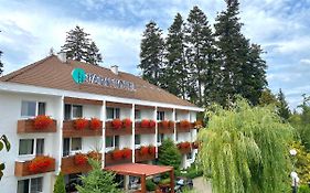 Hotel Park Sfantu Gheorghe